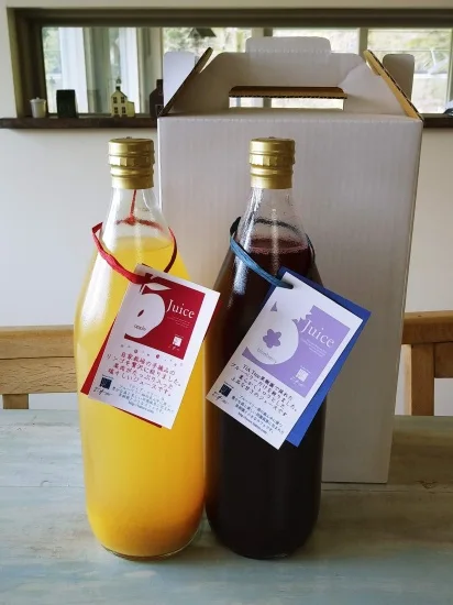 ブルーベリー&りんごジュース2本組