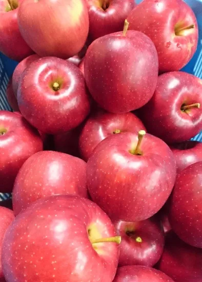 ブルーベリー&りんごジュース2本組 - 画像 (2)